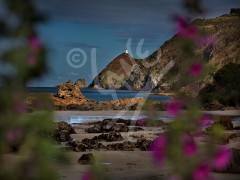 NEW ZEALAND Nugget Point Lighthouse